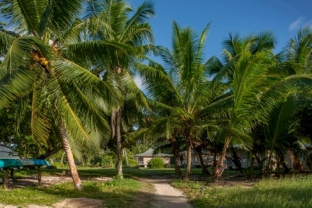 Le Vasseur La Buse Eco Resort Anse la blague Экстерьер фото